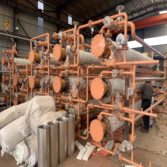 Scambiatore di calore a fascio tubiero con fascio tubiero a U in acciaio inossidabile (SS) 304 316/titanio/nichel/Hastelloy