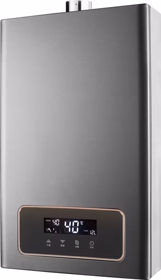 Cina Fabbrica OEM Tipo di canna fumaria Vendita calda Elettrodomestico 6L 10L 12L 16L 20L Scaldabagno istantaneo a gas naturale GPL senza serbatoio per doccia Approvazione CE.