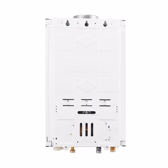 Caldaia a geyser istantaneo per riscaldamento domestico da 20 litri, doccia, scaldabagno a gas naturale propano